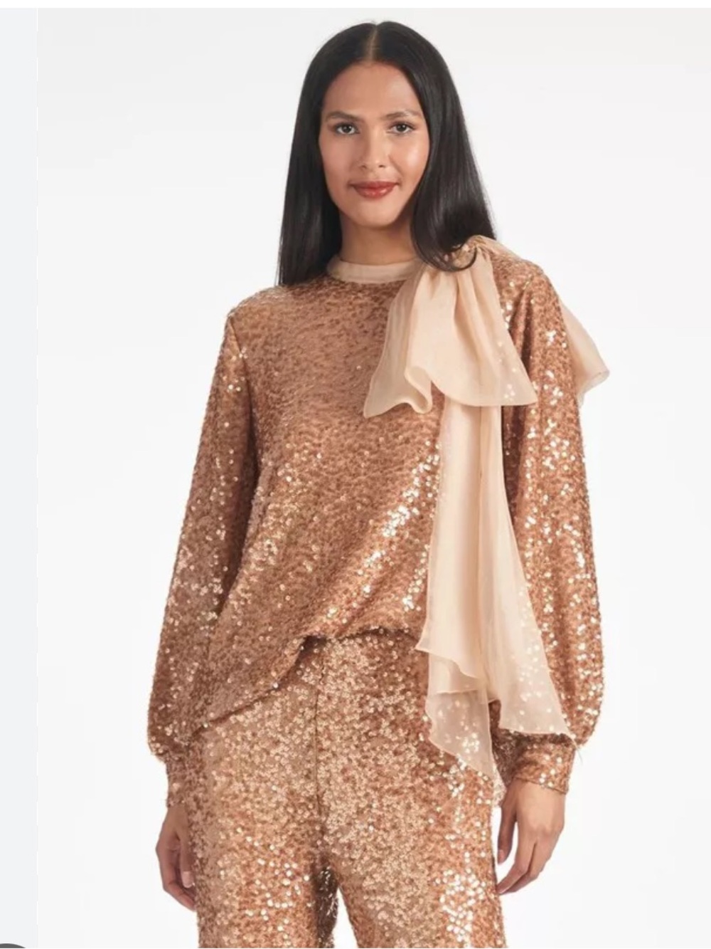 Sachin + Babi Sequin Marlena Honey Long Sleeve Blouse in Dusty Brown